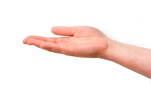 istock Girl's hand isolated on white background 147694261
