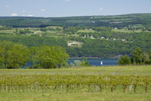 View of Seneca Lake from Castel Grisch