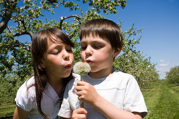 Brother ans sister blowing a flower petals stock photo