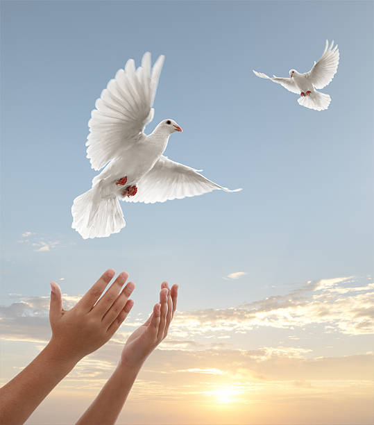 My Image 7
