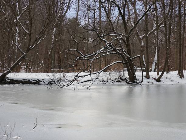 istock Van Cortlandt Park January 8, 2017 1476959594
