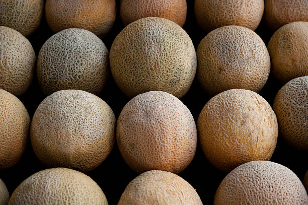 Cantaloupes stock photo