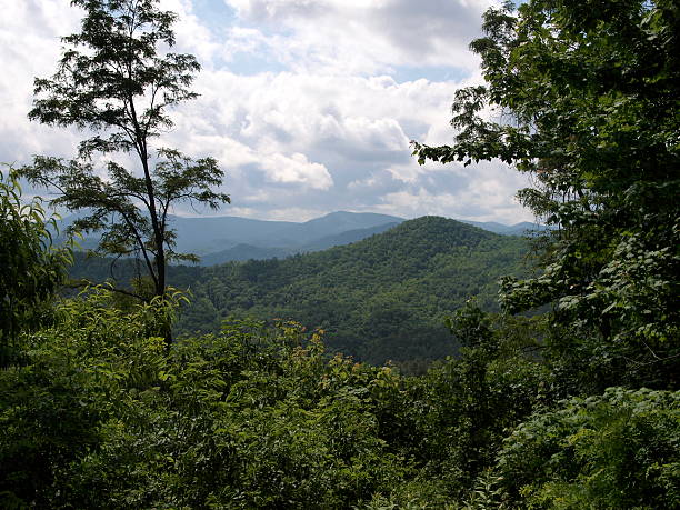 istock Peaceful Mountain Vista 147696347