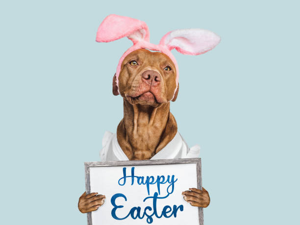 istock Happy Easter. Lovable, pretty puppy and congratulatory message 1476963520
