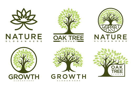 Tree symbol icon set design. Garden plant natural symbols template.Vector illustration.