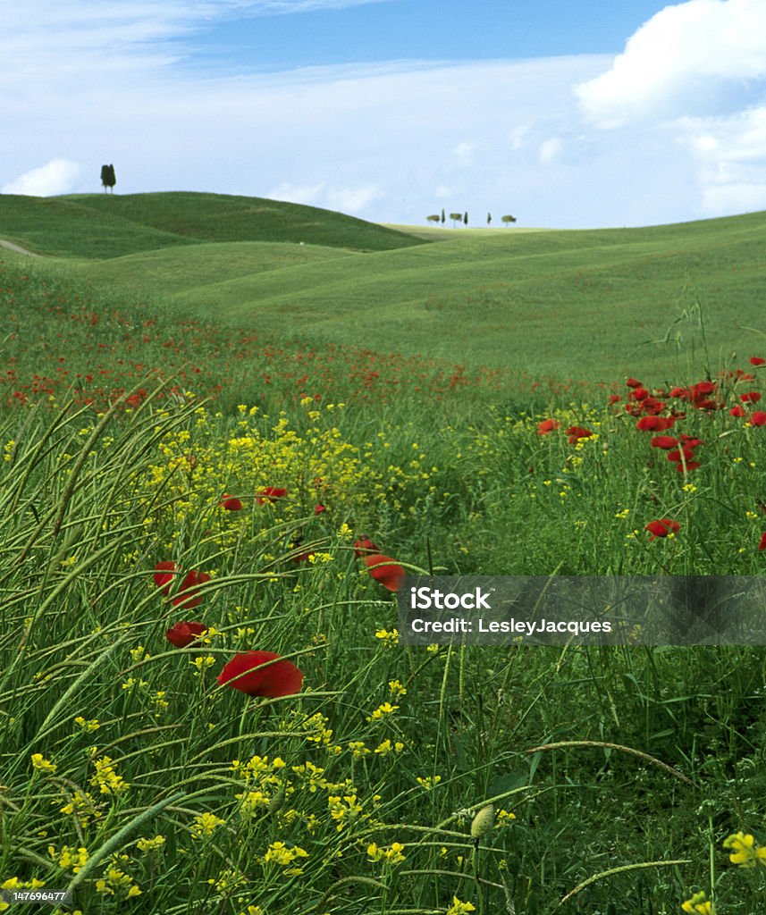 Hügelige Landschaft der Toskana - Lizenzfrei Anhöhe Stock-Foto