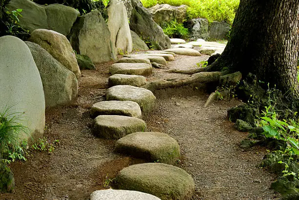 Stepping Stone in a Japanese Garden