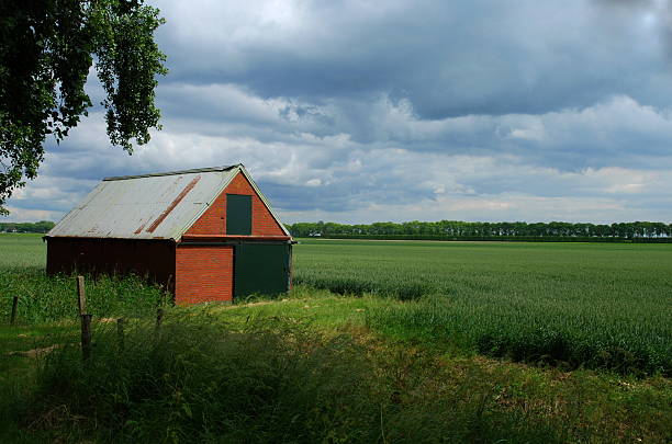 istock Old barn in a field with stormy sky 147697325