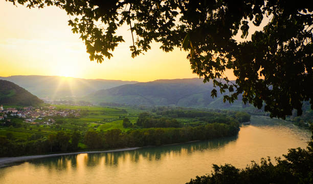 visita al wachau. una hermosa puesta de sol sobre los viñedos y el río danubio. vista desde dürnstein río arriba hacia la pequeña ciudad comercial de rossatz. - danube valley danube river vineyard austria fotografías e imágenes de stock