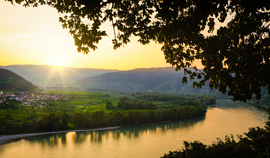 Visit to the Wachau. A beautiful sunset over the vineyards and the Danube river. View from Dürnstein upstream towards the small market town of Rossatz.
