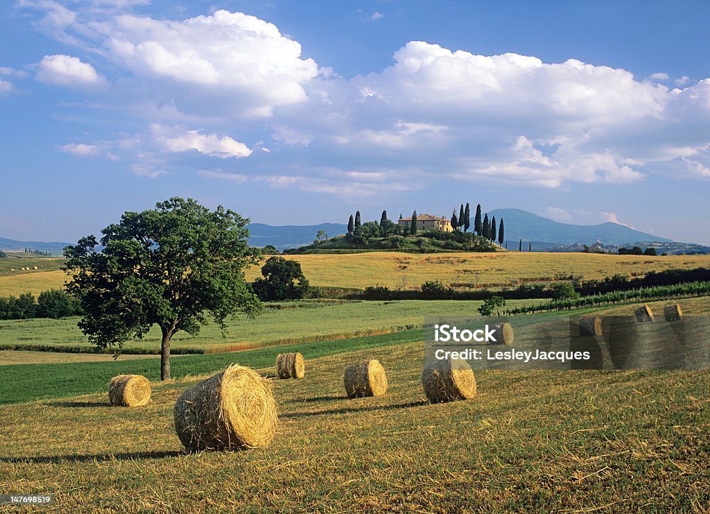 Toskanische Landschaft mit Heu bales - Lizenzfrei Agrarbetrieb Stock-Foto