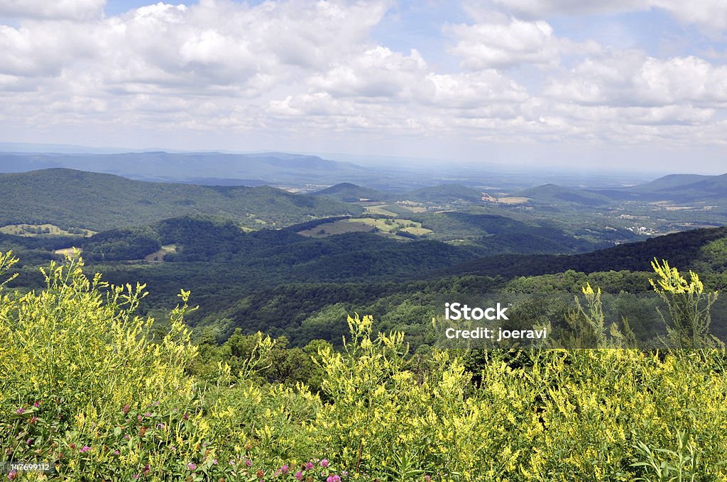 Vallée de Shenandoah - Photo de Arbre libre de droits