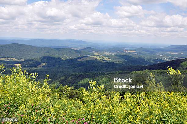 Photo libre de droit de Vallée De Shenandoah banque d'images et plus d'images libres de droit de Arbre - Arbre, Ciel, Colline