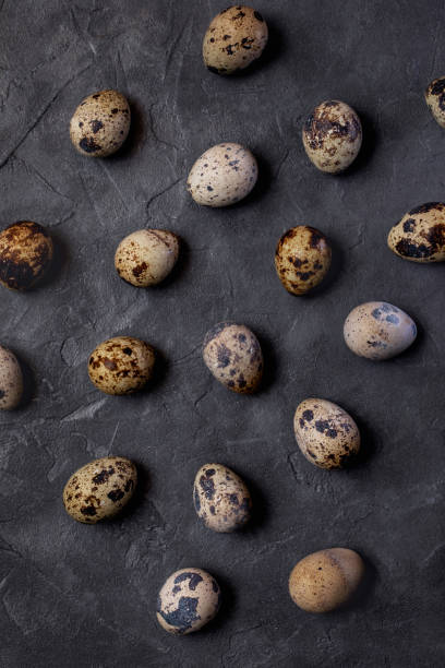 istock Many beautiful colorful quail eggs on a dark background. A gloomy image of an Easter theme. 1476992078