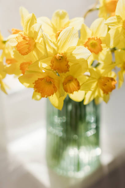 istock Bouquet of daffodils in glass vase 1476993428