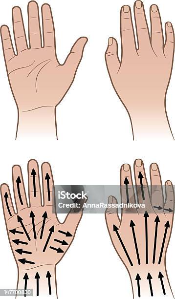Kobieta I Mężczyzna Ręce Z Masaż Linii - Stockowe grafiki wektorowe i więcej obrazów Ludzie - Ludzie, Masaż ręki, Mańkut