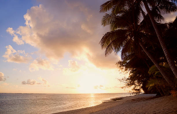 istock Tropical Island at Sunset 147702445