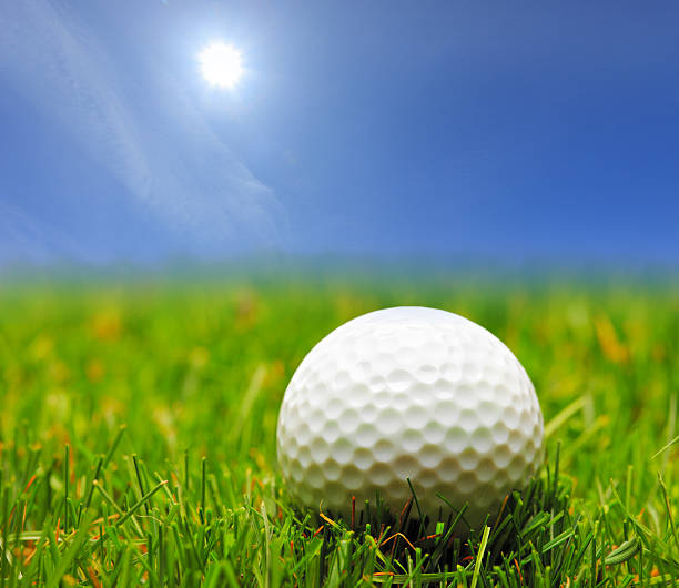 istock Golf ball on a green grass 147702653
