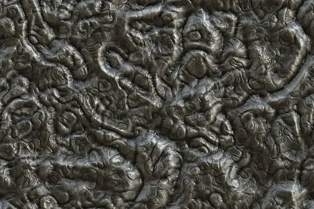 Photo of alien wall texture