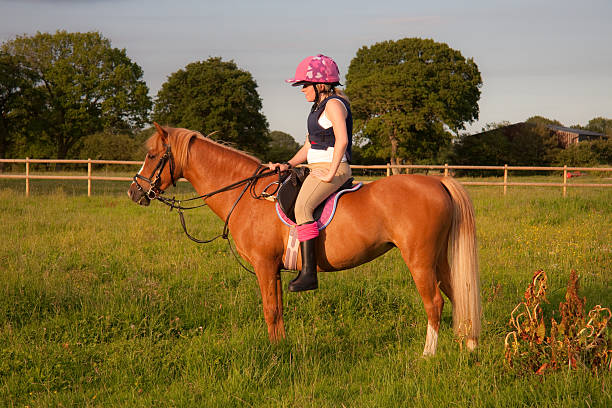 istock Girl and pony taking it easy on a sunny day. 147703683