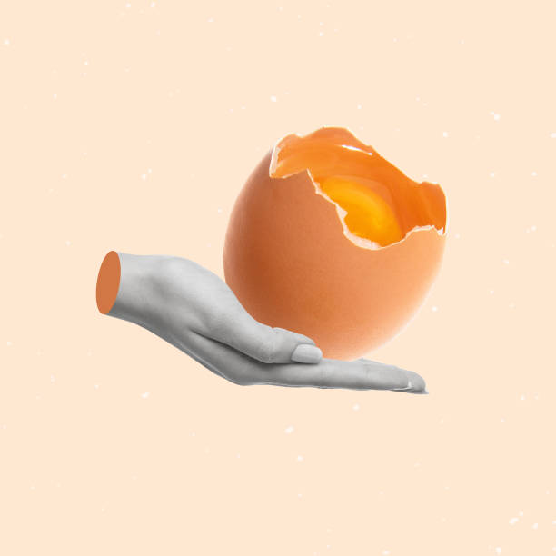 istock Contemporary art collage of hand holding broken egg. 1477038117