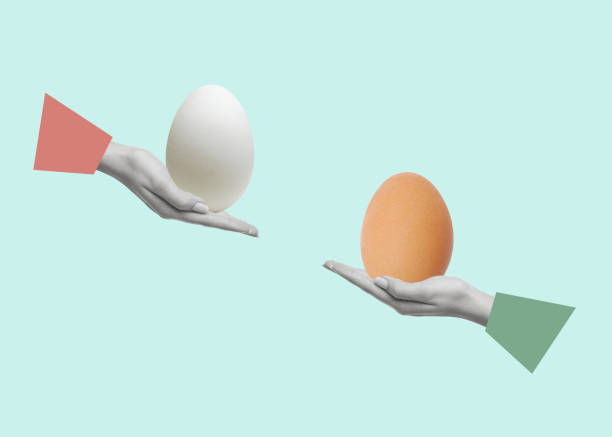 istock Contemporary art collage of hands holding eggs. 1477038120