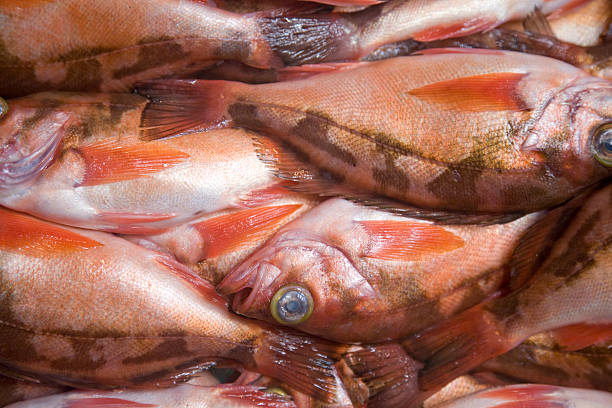 Fish Market stock photo