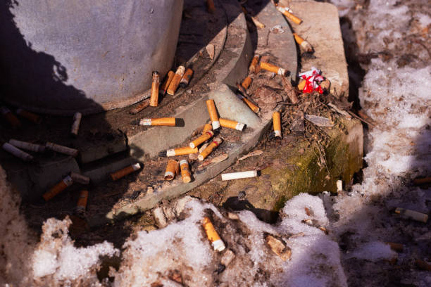 istock cigarette butts next manhole cover snow melts. 1477040763