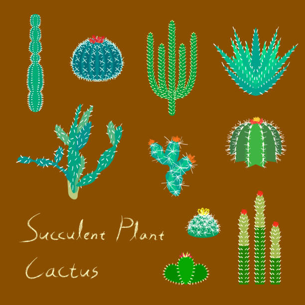 Illustrations that can be used as icons or graphics.