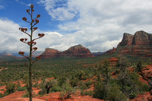 Sedona Red Rock -View from \