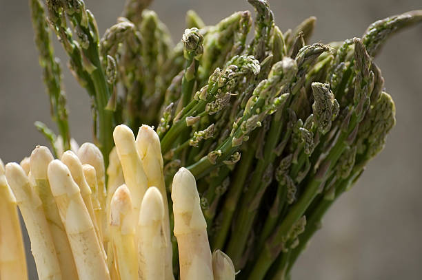 asparagus stock photo