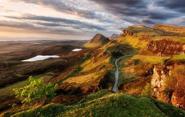 istock Tree on sunrise landscape in Scotland, UK 1477048875