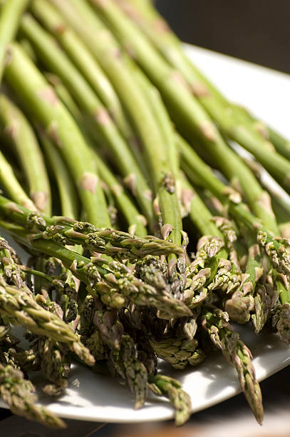 asparagus stock photo