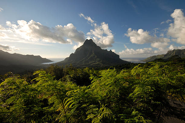 istock Mt Rotui, Moorea, Tahiti 147705032