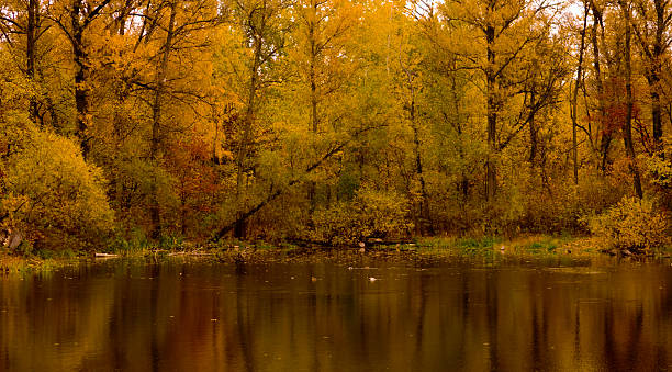 istock The Lake, Autumn. 147705406