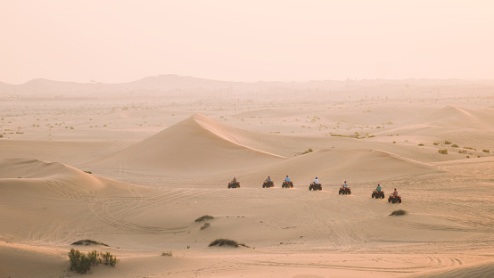 Offroad Desert Trip
