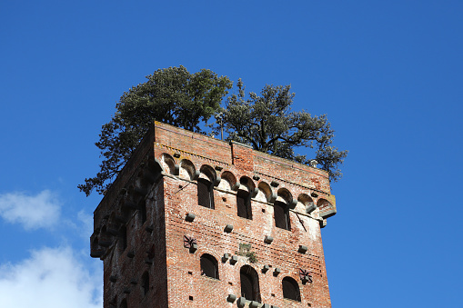 Guinigi Tower in Lucca - Tuscany