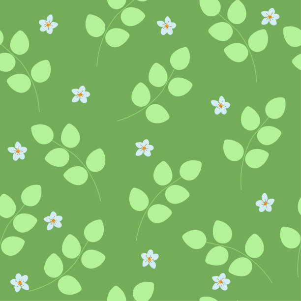 Seamless pattern white apple flowers, leaves on green background. Beauty drawn floral repeating girls print, vector eps 10 Seamless pattern white apple flowers, leaves on green background. Beauty drawn floral repeating girls print. Cute repetitive gentle texture for wall paper or wrapping, vector design eps 10 green apple on green background stock illustrations