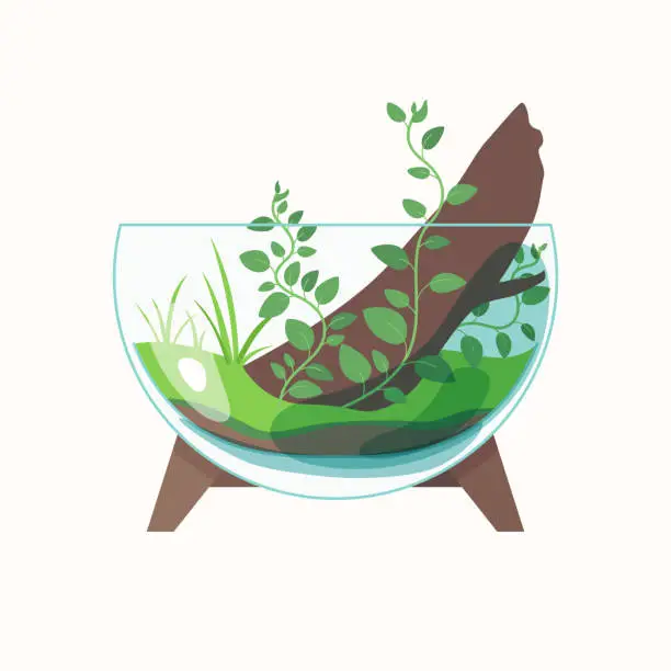 Vector illustration of Live plants are planted in a glass container. The illustration depicts a terrarium for plants. Vector image.