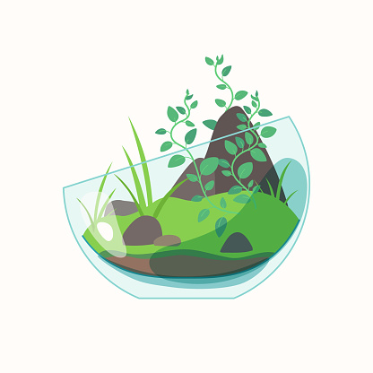 Live plants are planted in a glass container. The illustration depicts a terrarium for plants. Vector image for design.