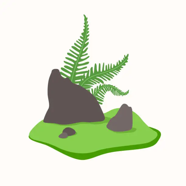 Vector illustration of The illustration depicts a fern that grows in the ground. Vector image.