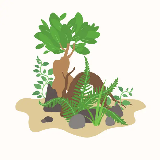 Vector illustration of Composition of living plants. An illustration with several plants and additional elements. Vector image.