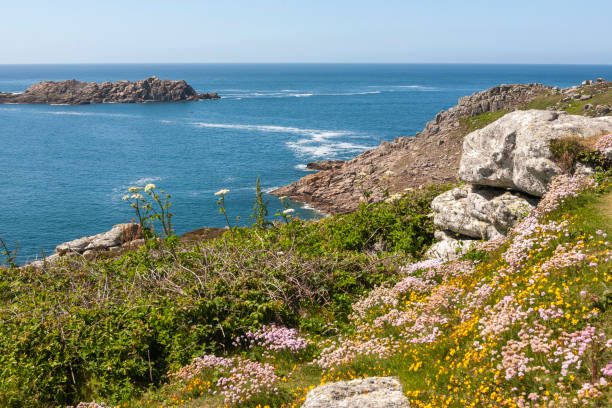 View out to sea from Gimble Point on Tresco, Isles of Scilly, UK, with a profusion of wild flowers in the foreground The northern entrance to New Grimsby Sound, between the islands of Tresco and Bryher, Isles of Scilly, UK tresco stock pictures, royalty-free photos & images