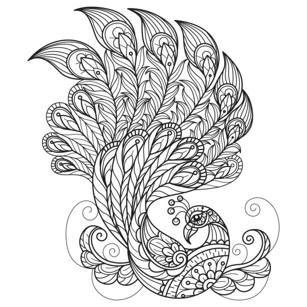 ilustrações de stock, clip art, desenhos animados e ícones de peacock flying hand drawn for adult coloring book - peacock feather outline black and white