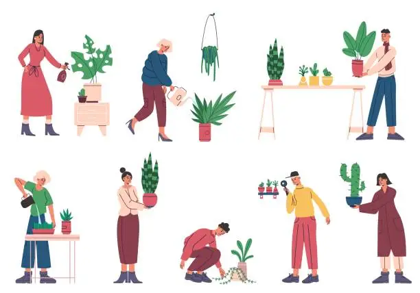 Vector illustration of People care of room plants. Cartoon women and men with different interior decorative houseplants. Cacti and palm in flowerpots. Persons growing flowers in pots. Vector home gardening set