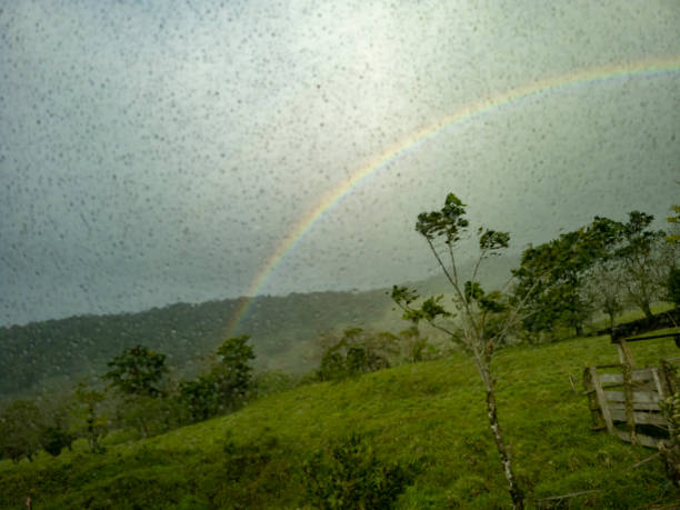 View through a rain covered coach window of clouds over a Costa Rica Nature Reserve View through a rain covered coach window of clouds over a Costa Rica Nature Reserve. rainbow toucan stock pictures, royalty-free photos & images