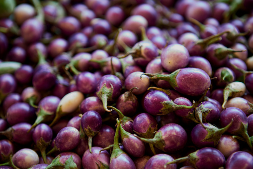 Heap of purple eggplant