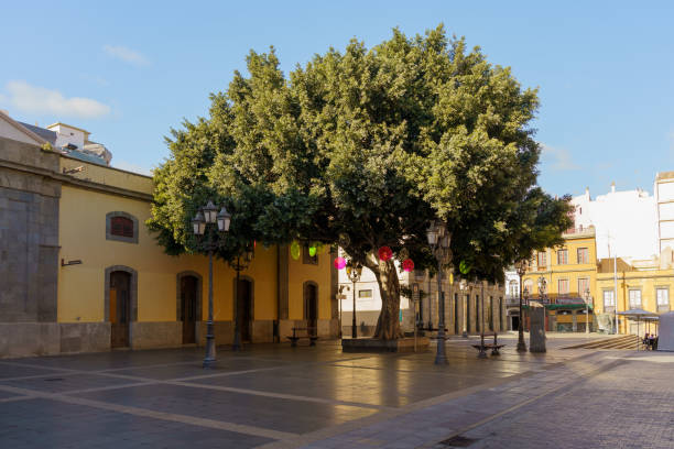 Santa Cruz de Tenerife, Canary Islands, Spain - December 17, 2022: The Island of the Woods Square (Spanish: Plaza Isla de la Madera) is a popular tourist spot and cultural landmark in the city. It is known for its prestigious architecture and peaceful atmosphere. It is a great place to relax and enjoy the sights and sounds of the city.