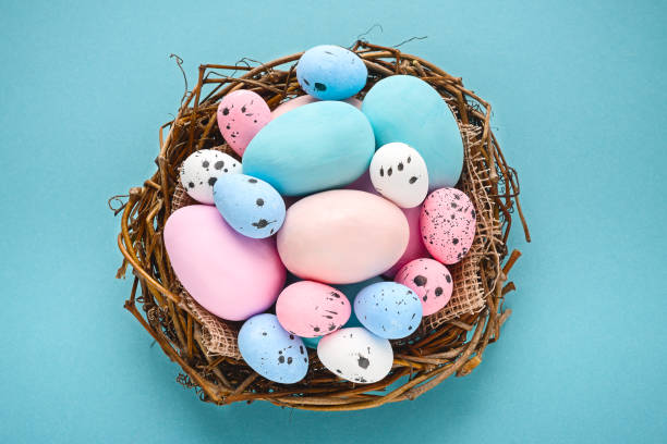 istock Eggs painted blue and pink on a blue background in a nest basket on a blue background 1477077543