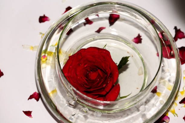 istock Red Rose flower in a bowl filled with water table top view 1477079877